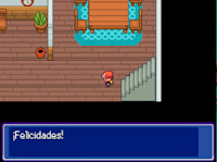 Pokemon Geheimnis Screenshot 02