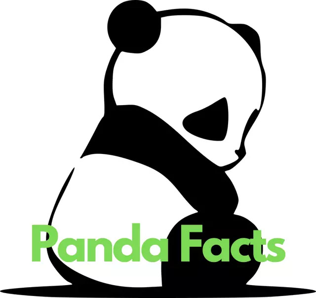 90 Amazing Facts About Panda In Hindi