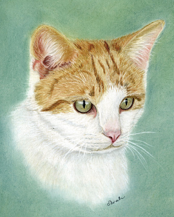 Download Sarahs Pet Portraits and Art Work: Cats Pastel Paintings