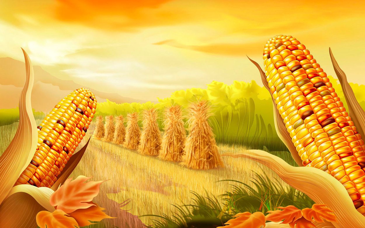 https://blogger.googleusercontent.com/img/b/R29vZ2xl/AVvXsEjPSbbnhaTfjTs1pYsh7XarzMWEpJkPMQJWT3gozgIsMJtnUFgXXDpeGDJCdLydBc7Cdip2rdDoqyT1x4tRbgRoycJe7hXZoH5C259BVNf0fofdO-iIYy2aU87Ug19sqC1pKigq7PcJGtxF/s1600/thanksgiving-wallpaper-corn-cartoon.jpg