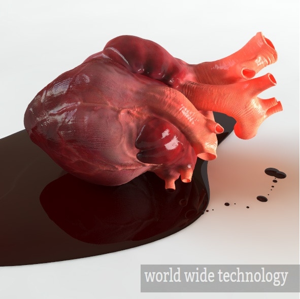 Let's know about 3D modeling of human hearts.
