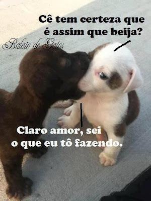 beijo