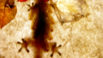 P1070428