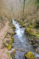 Riachuelo del río Balsareny en  Bagà