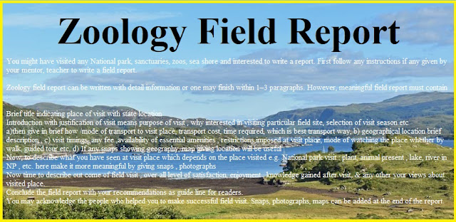 zoology field report