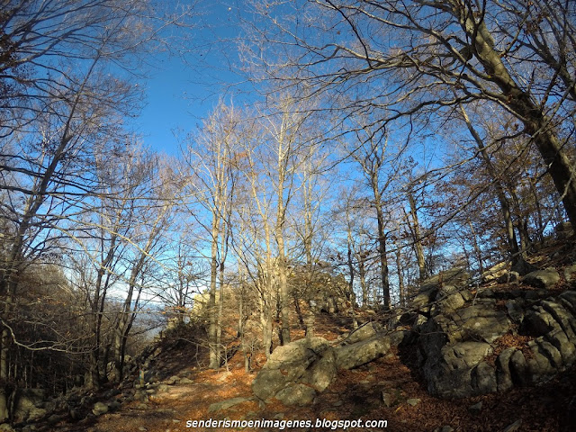 Turó i empedrat de Morou (Montseny)