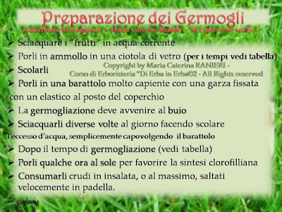 Docente del Corso di Erboristeria “Di Erba in Erba©” Cromoterapeuta - Cromoestetica Floriterapeuta Mediterranea - esperta di Cosmesi naturale personalizzata, Consulente naturopata - vasta esperienza anche con bimbi e anziani -  Istruttrice di “Tai Chi Chuan” http://dierbainerba.blogspot.it - © Maria Caterina Ranieri – all rights reserved ॐ