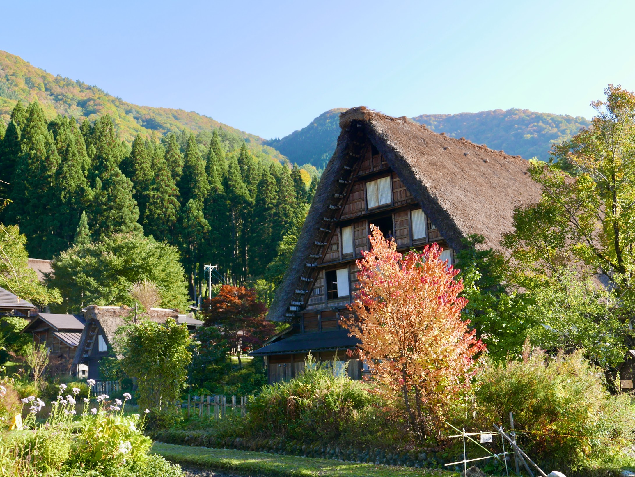 白川鄉-神田家