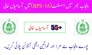 Punjab Govt Jobs for Assistants (BPS-16) - Apply Across Punjab Province
