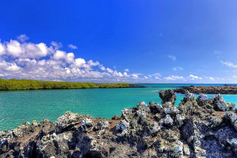 Lavaformation im Meer, Insel Isabela, Galapagos