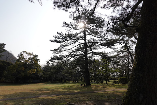 島根県出雲市大社町杵築東 出雲大社