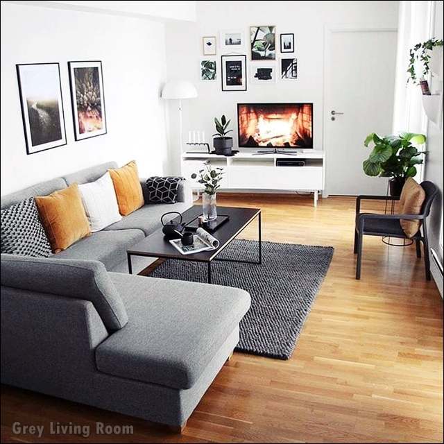 Grey Couch Living Room Design Ideas