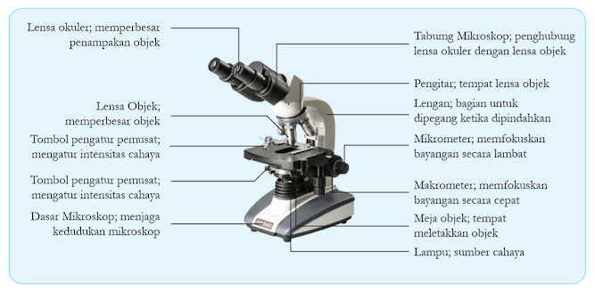 Gambar Mikroskop cahaya beserta bagianbagiannya