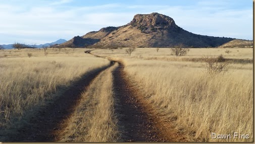 San Rafael Grasslands_008