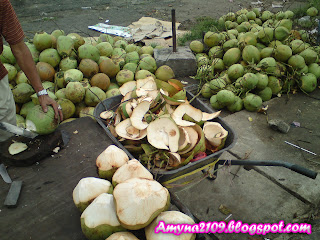 buah kelapa