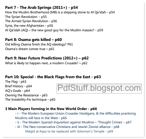 Contents of the English book Black Flags from the East