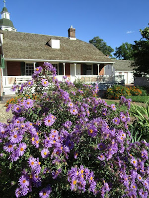 A big splash of purple flowers in the front with the rear porch of a brick house and a bright blue sky behind them.