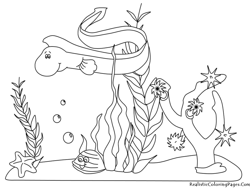 Ocean Animals Coloring Pages  Realistic Coloring Pages