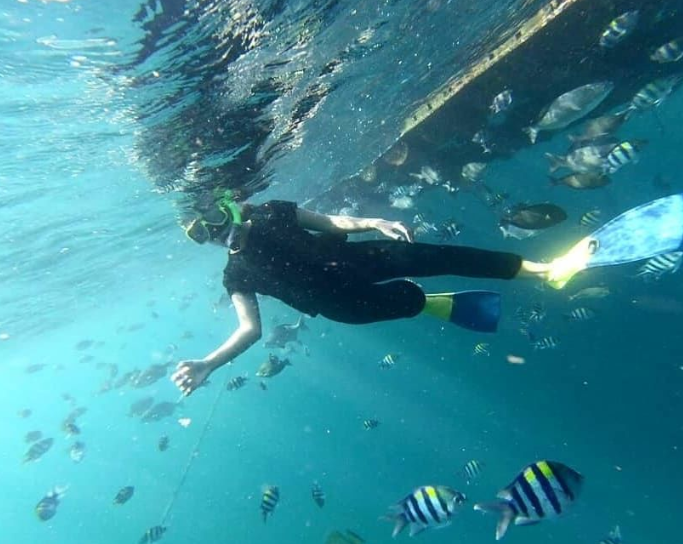 7 Wisata Snorkeling Di Jawa Timur Yang Wajib Dikunjungi Bagi