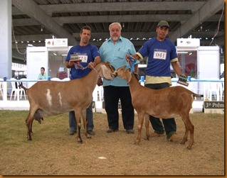 Fenagro038