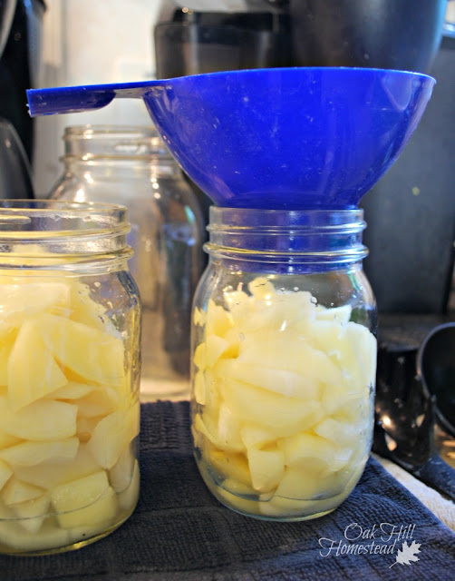 Adding sliced pears to a pint canning jar with a blue canning funnel.