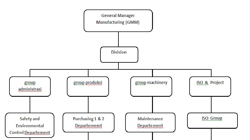 Membuat Contoh Bagan Struktur Organisasi Perusahaan 