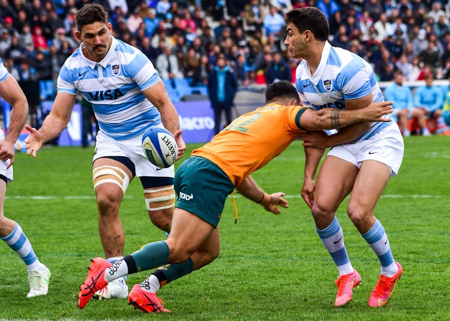 Los Pumas cayeron los | Norte Rugby