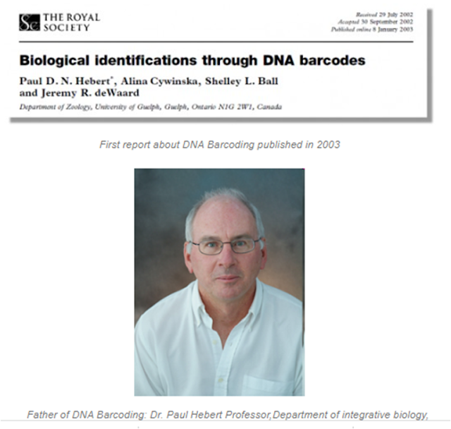 dna barcoding first report and Paul Hebert