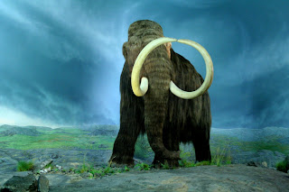 Woolly Mammoth Wallpaper