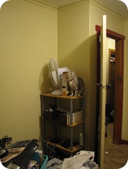 IMG_2874 IMG_2874