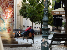 https://www.sueddeutsche.de/panorama/wohnungslose-obdachlose-1.4545815