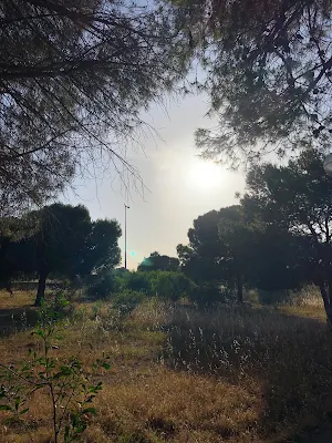 Parc de Sidi Bou Saïd園内風景