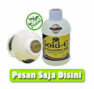 http://obatmaagakut2.blogspot.com/2013/11/cara-pemesanan-jelly-gamat-gold-g.html