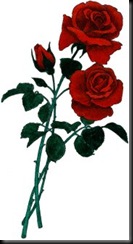 clipart-3roses.gif