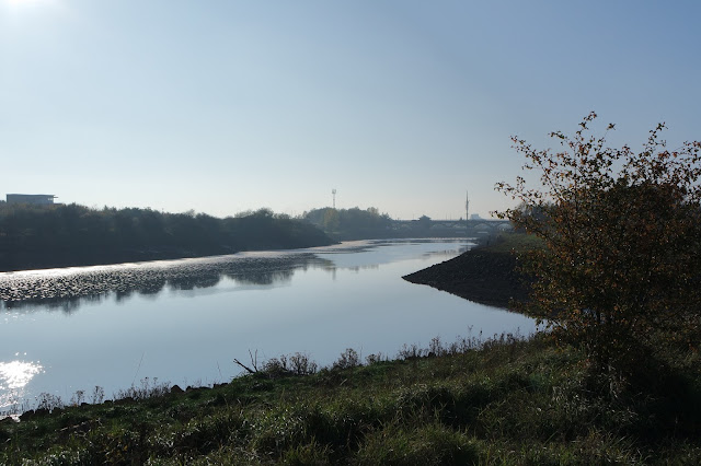 Dog Walk -Teesside - River Tees - Tees Barrage