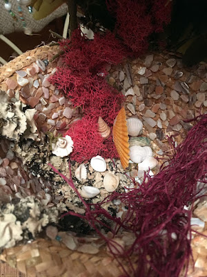 The inside of the crown of a straw hat, coated in tiny shell pieces, with red, purple, and grey swatches of dried moss draped over the walls. Intact shells are arranged at the bas like a small set of four chairs and a bed with a large orange clamshell dividing wall.