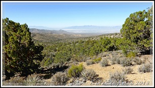 EFP-Image00017