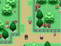 Pokemon Spork Screenshot 02