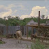 The Walking Dead- Temporada 9 Capitulo 1 (Latino)