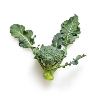Broccoli, sulforafaan, Brassica oleracea, brokkoli