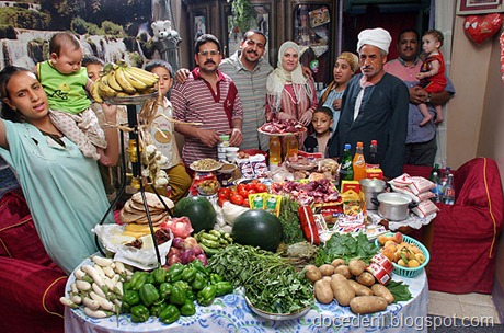 alimentação6