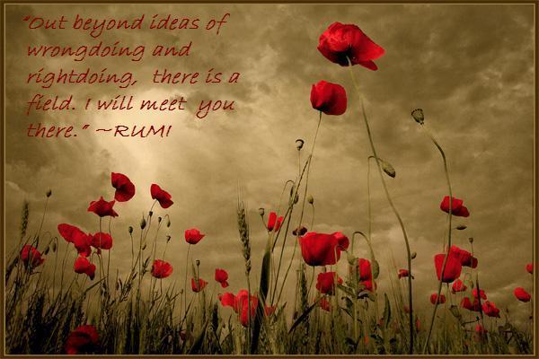 quotes about islam. RUMI QUOTES