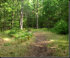 Camping at South Branch Horse Camp