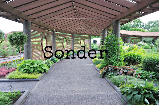 sonder