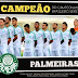 Palmeiras é campeão da serie B 2013