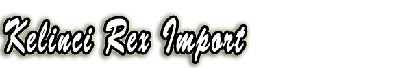 Kelinci REX Import