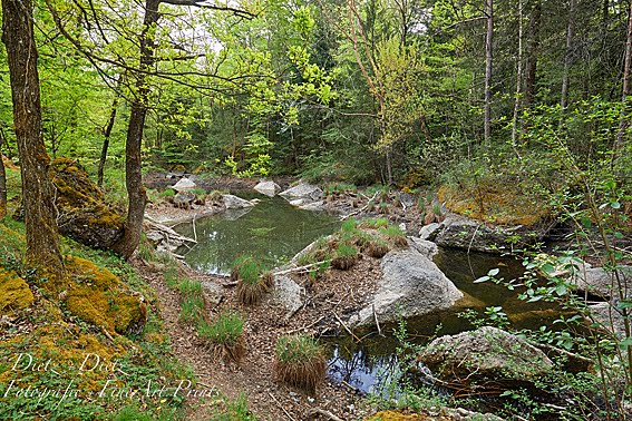 Teich am Hexen-Weg im trockenen Frühling 2020