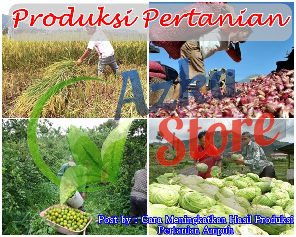 Cara Meningkatkan Hasil Produksi Pertanian Ampuh