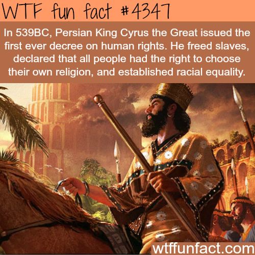 Interesting WTF Fun Facts That You Probably Didn't Know