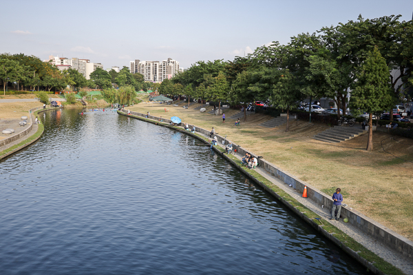 台中大里|興大康橋水岸公園|景觀橋|阿勃勒|落羽松|大里最美河畔